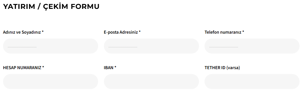 blp yatırım ödeme yöntemleri