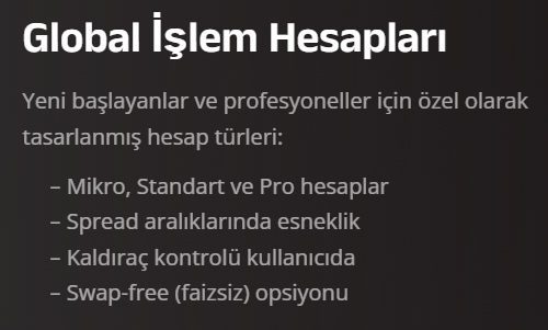 nerox invest hesap türleri