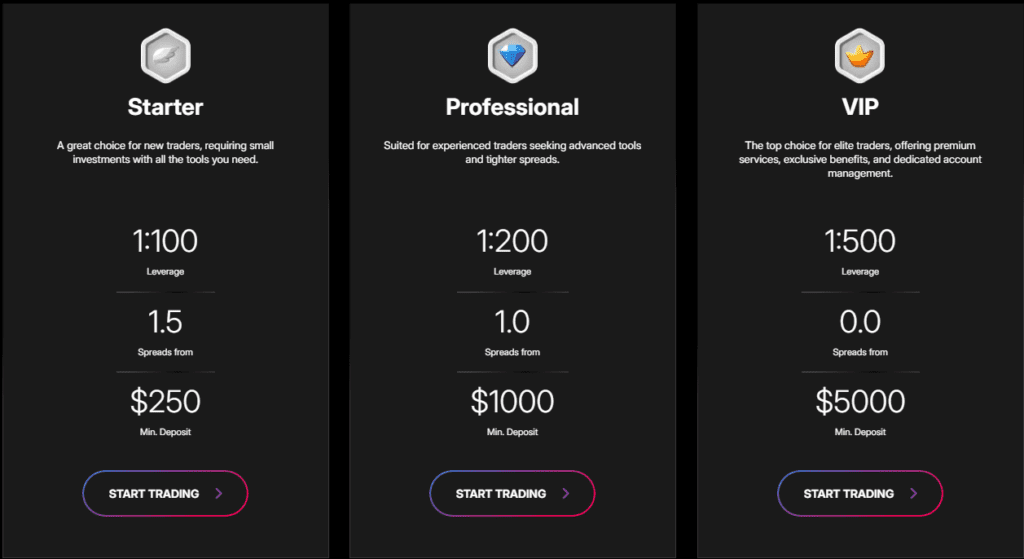 blueberry global markets hesap türleri