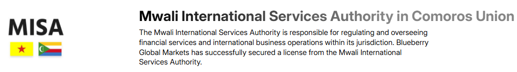 blueberry global markets lisans