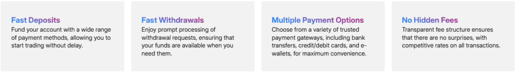 blueberry global markets ödeme yöntemleri