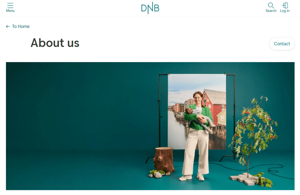 dnb yatırım