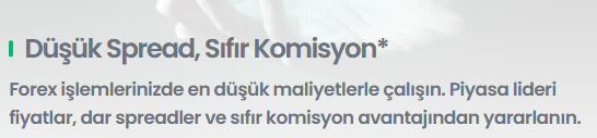 fidor global hesap türleri