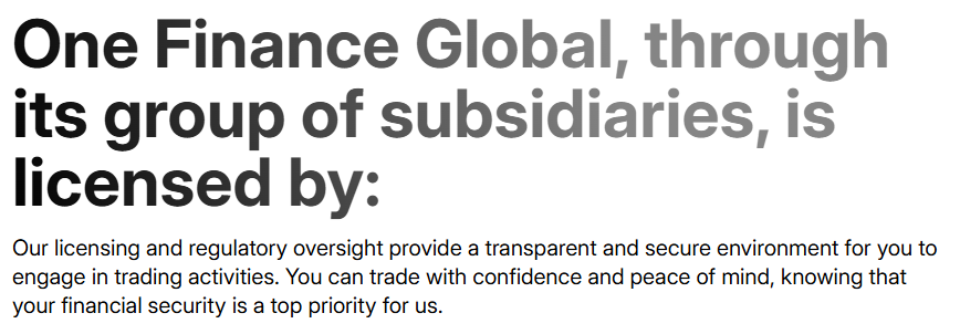 one finance global lisans