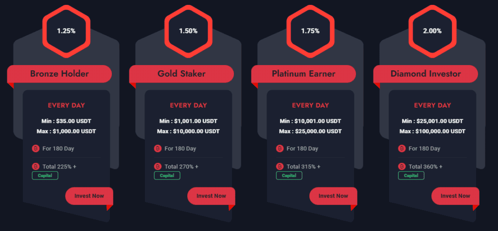 Nextgen StableEarn Network hesap türleri